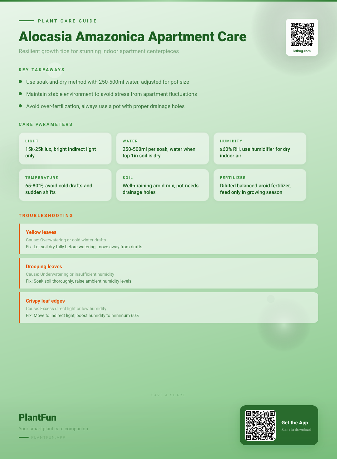 Alocasia Amazonica in a Central Apartment: The Complete Care Guide for Resilient Growth — Care Guide for indoor houseplants