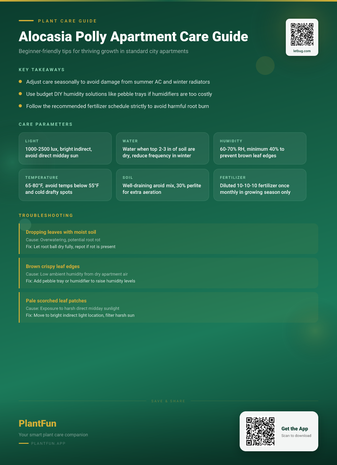 Alocasia Polly in a Typical Apartment: The Resilient Growth Care Guide for Beginners — Care Guide for indoor houseplants
