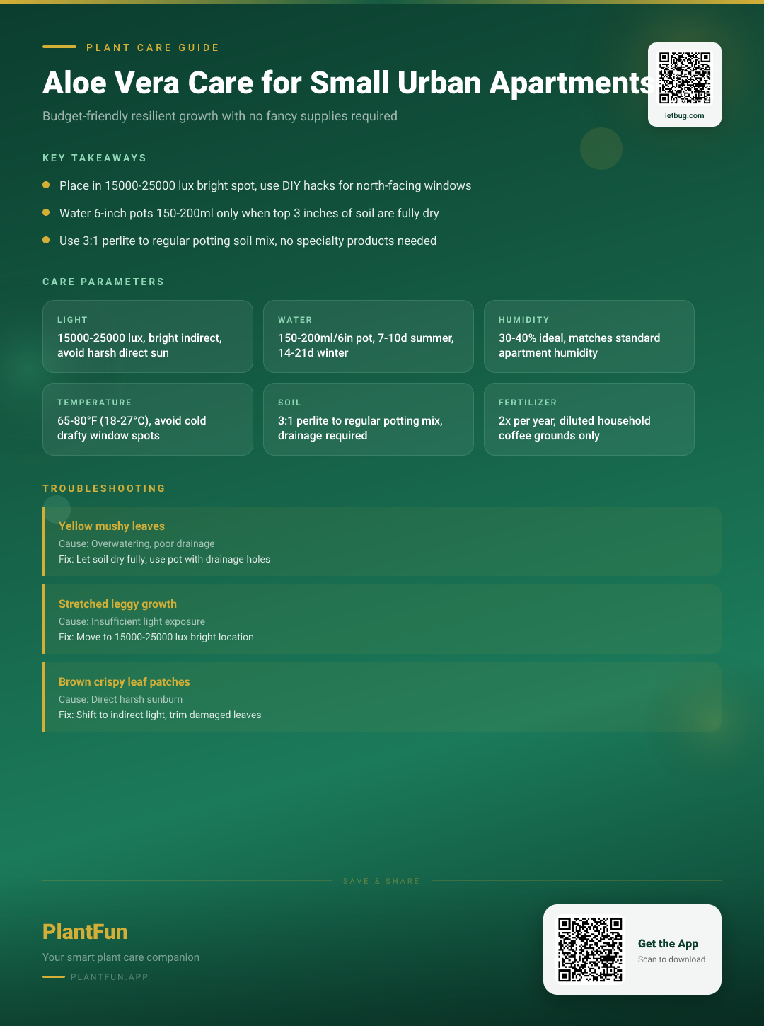 Aloe Vera in Small Urban Apartments: The Budget Care Checklist for Resilient Growth — Care Guide for indoor houseplants