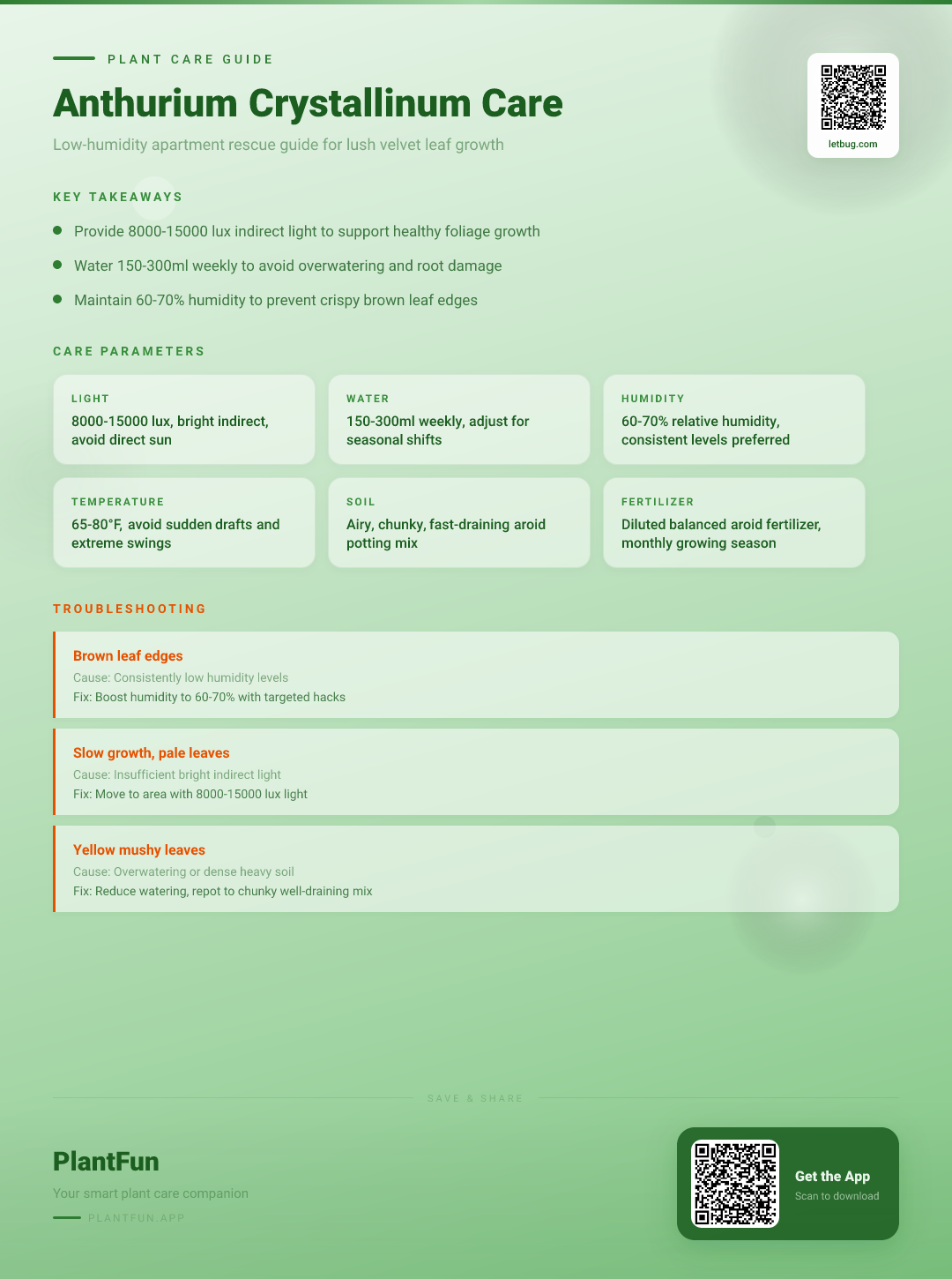 Anthurium Crystallinum in Low-Humidity Apartments: The Complete Rescue and Growth Guide — Care Guide for indoor houseplants