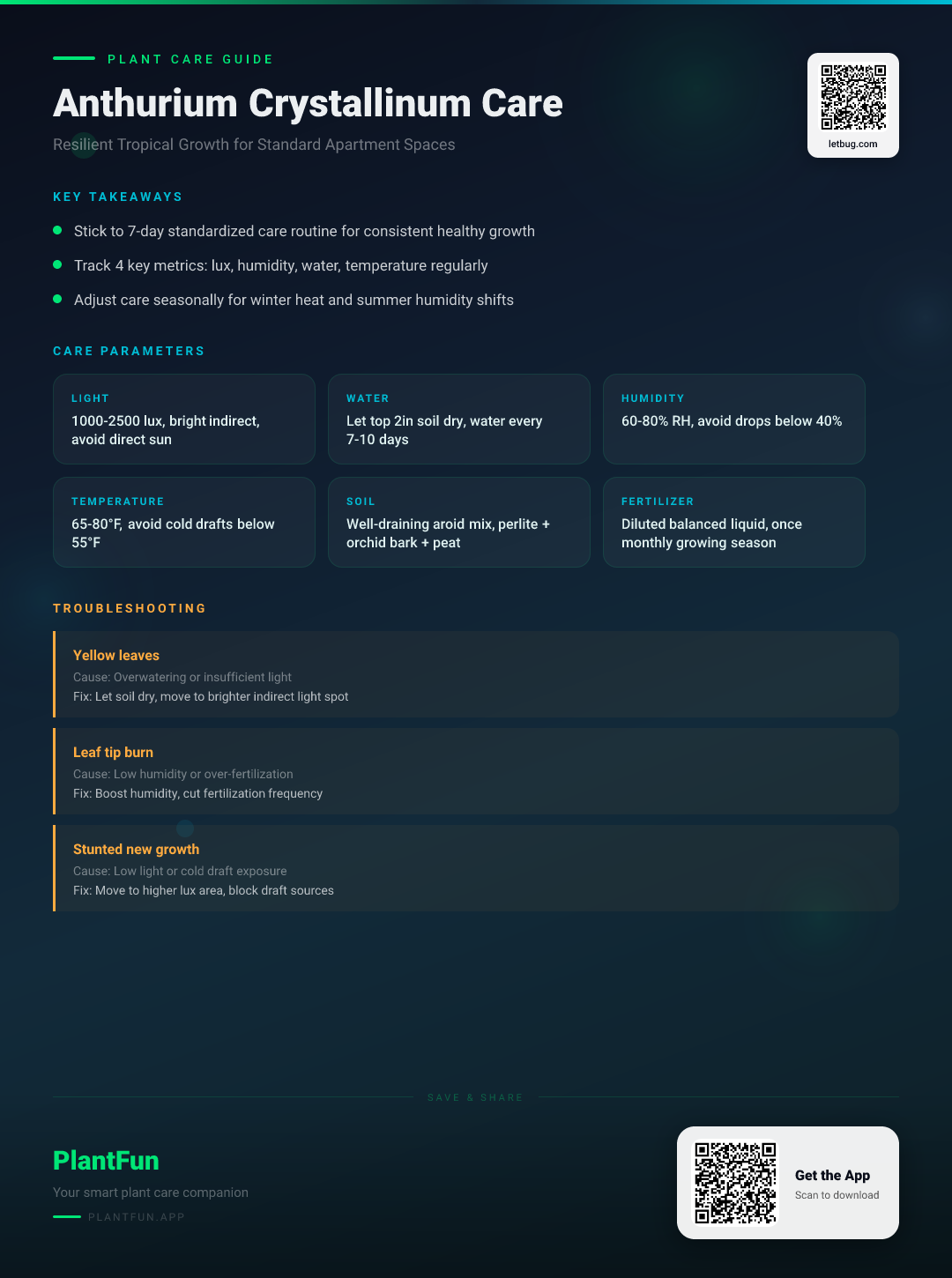 Anthurium crystallinum in a Typical Apartment: The Essential Guide to Resilient Indoor Growth — Care Guide for indoor houseplants