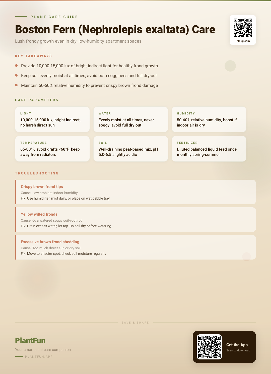 Boston Fern in a Dry Apartment: The 5-Step Rescue Plan for Lush, Frondy Growth — Care Guide for indoor houseplants