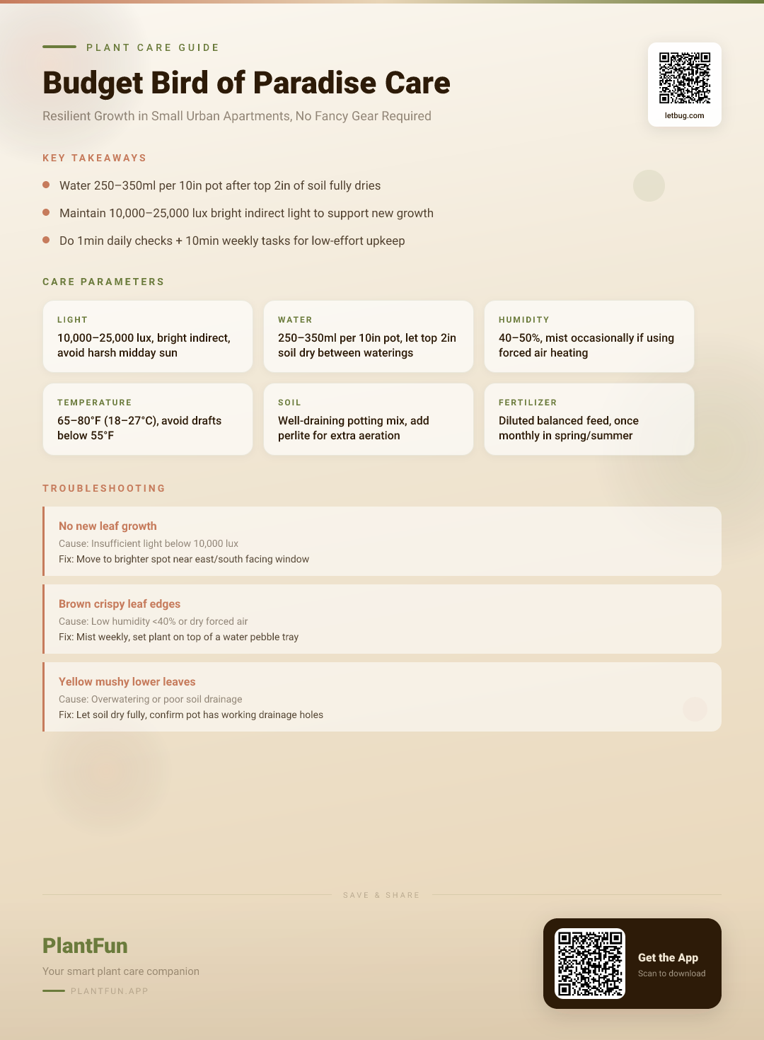 The Budget Bird of Paradise Care Checklist for Resilient Growth in Small Urban Apartments — Care Guide for indoor houseplants