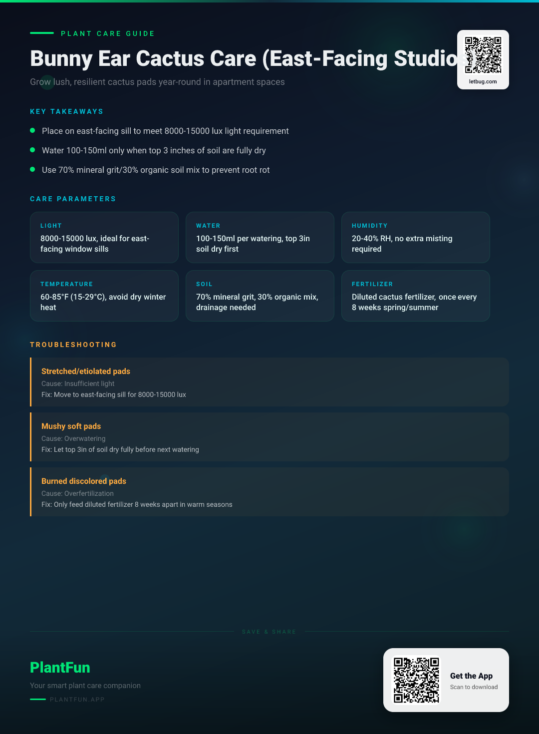 Bunny Ear Cactus Care Checklist for East-Facing Studio Apartments: Grow Lush, Resilient Pads Year-Round — Care Guide for indoor houseplants