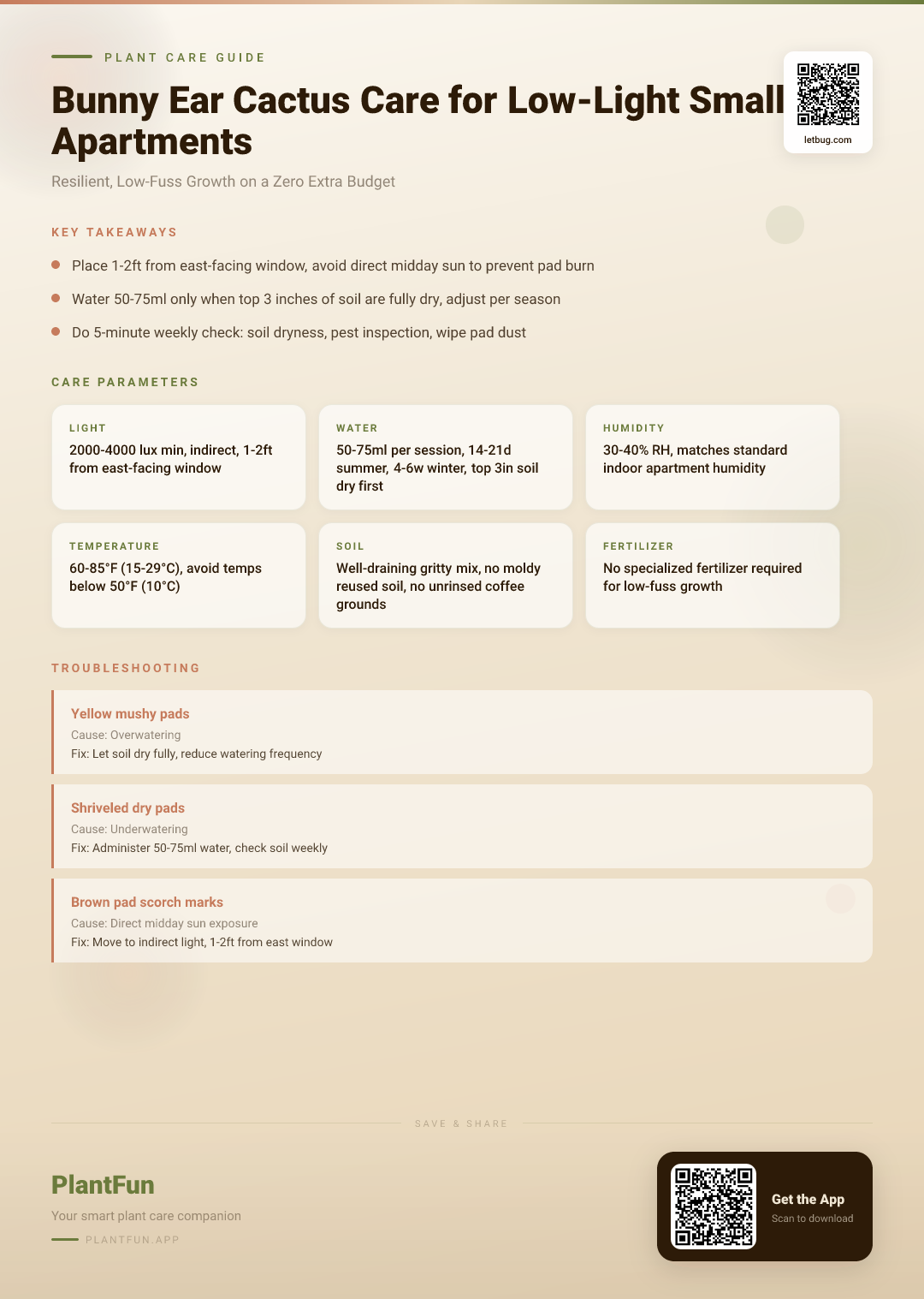 Bunny Ear Cactus Care Guide for Small Low-Light Apartments: Resilient Growth On A Budget — Care Guide for indoor houseplants