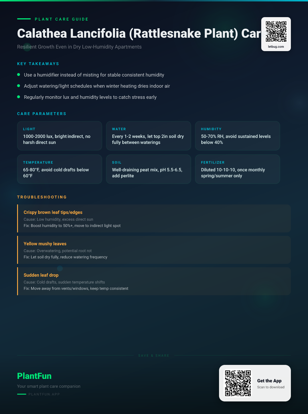 Calathea lancifolia in Your Dry Apartment: The 5-Step Resilient Growth Recovery Plan — Care Guide for indoor houseplants