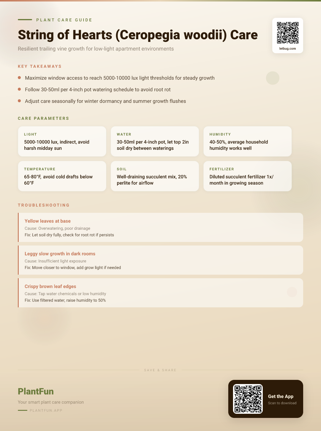 Ceropegia woodii in a Low-Light Apartment: The Complete Care Guide for Resilient Growth — Care Guide for indoor houseplants