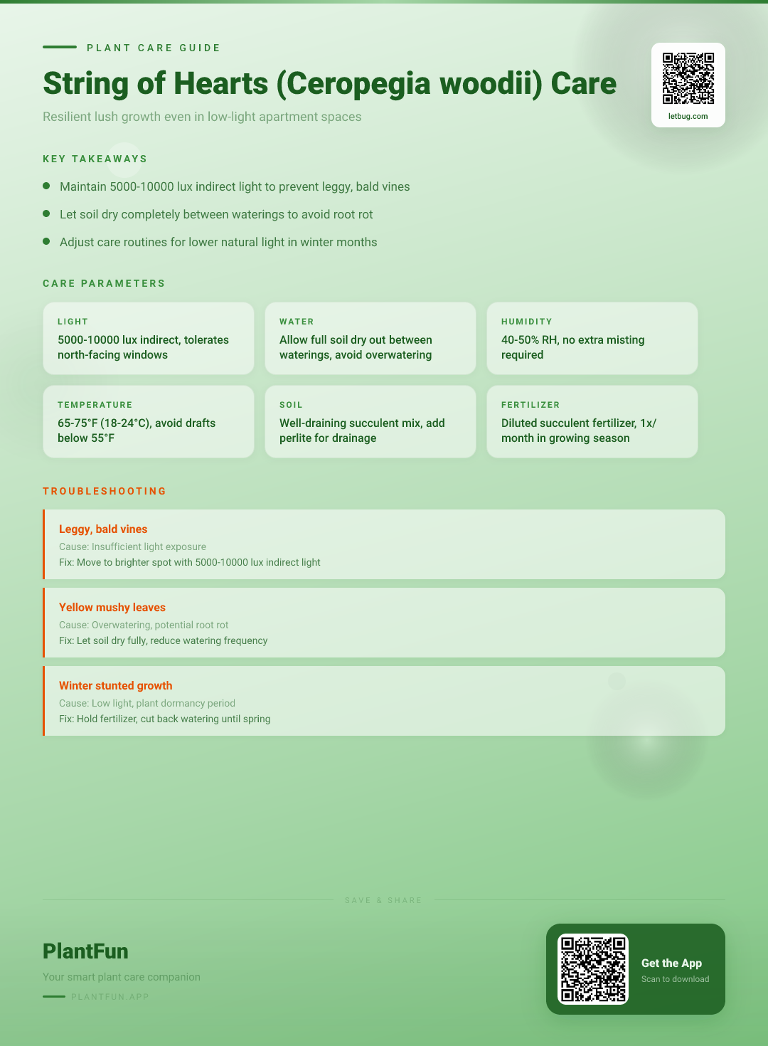 Ceropegia woodii in a Low-Light Apartment: The Ultimate Survival Guide for Resilient Growth — Care Guide for indoor houseplants