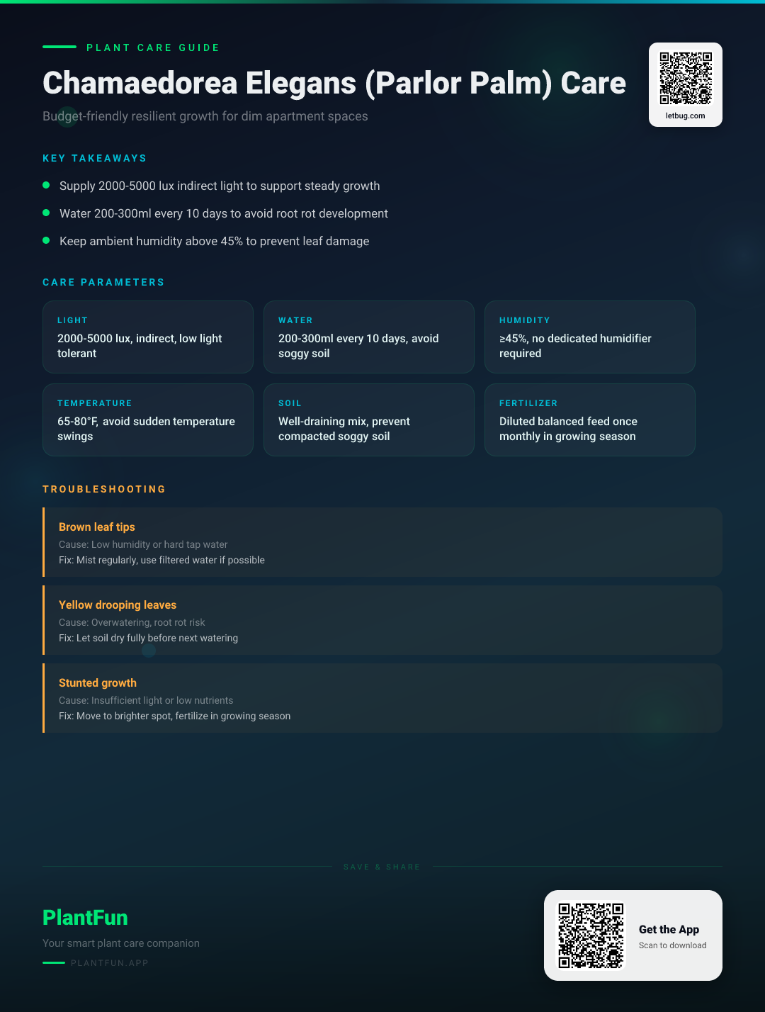 Chamaedorea elegans in a Dim Apartment: The Ultimate Budget-Friendly Care Guide for Resilient Growth — Care Guide for indoor houseplants