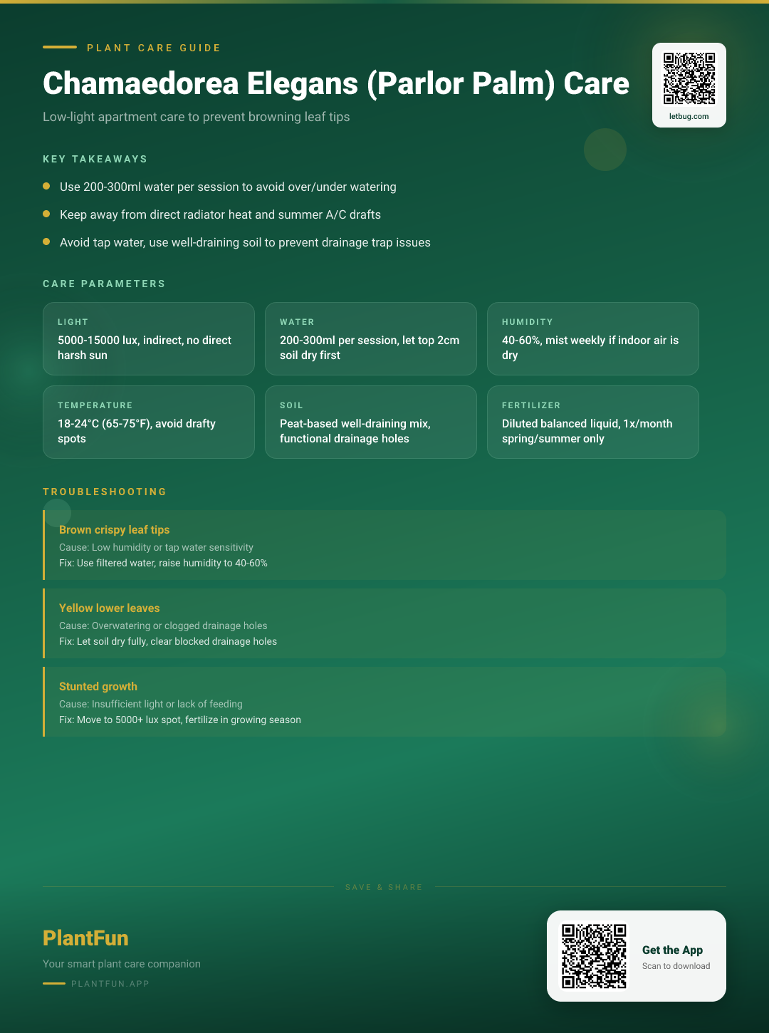 Chamaedorea Elegans in Low-Light Apartments: 5 Steps to Stop Browning Leaf Tips — Care Guide for indoor houseplants