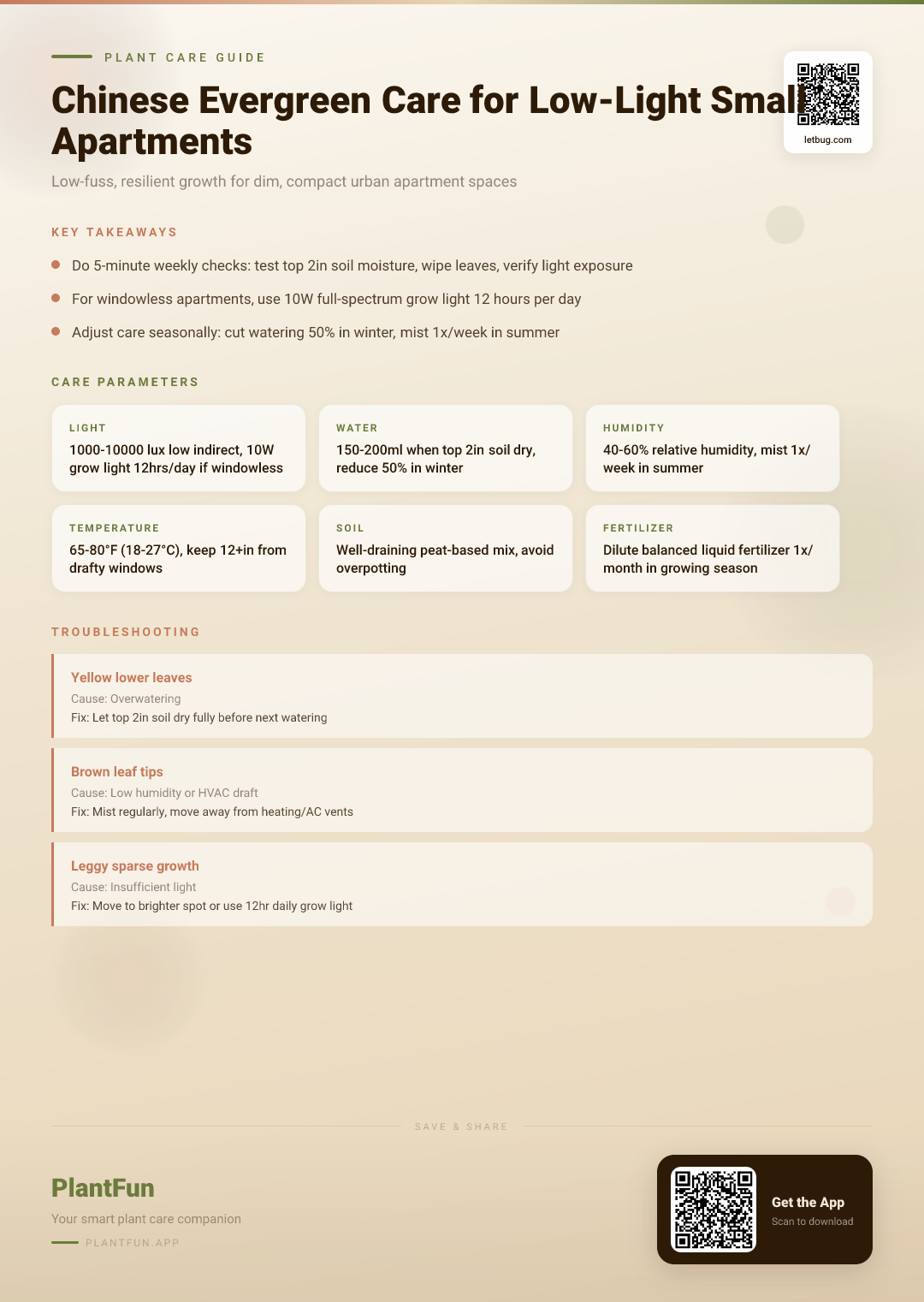 Chinese Evergreen Care Checklist for Resilient Growth in Small Low-Light Apartments — Care Guide for indoor houseplants