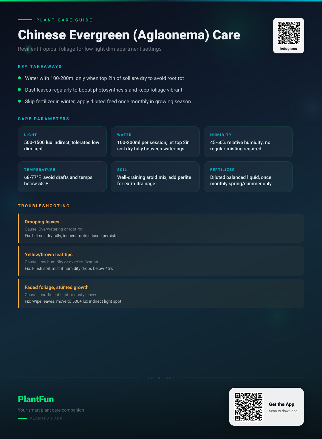 Chinese Evergreen in a Dim Apartment: The Complete Care Guide for Resilient Growth — Care Guide for indoor houseplants