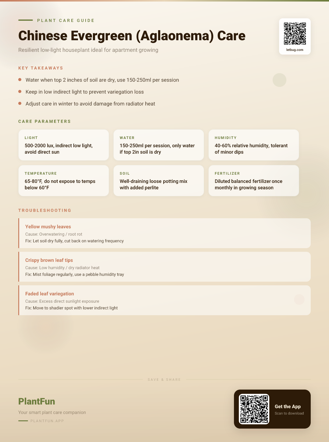 Chinese Evergreen in a Low-Light Apartment: The Only Care Guide You’ll Ever Need — Care Guide for indoor houseplants