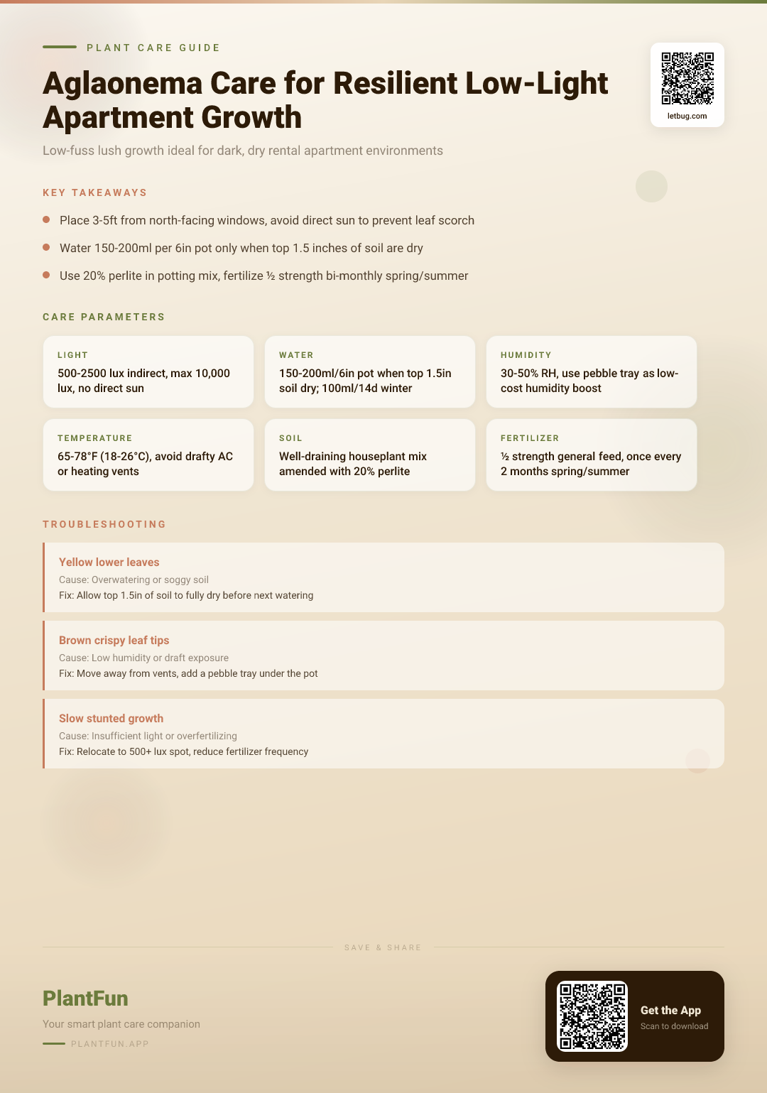 The Complete Aglaonema Care Checklist for Resilient Growth in Typical Low-Light Apartments — Care Guide for indoor houseplants