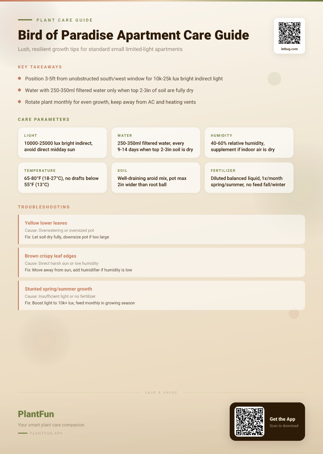 The Complete Bird of Paradise Care Guide for Typical Apartments: Tips for Resilient, Lush Growth — Care Guide for indoor houseplants