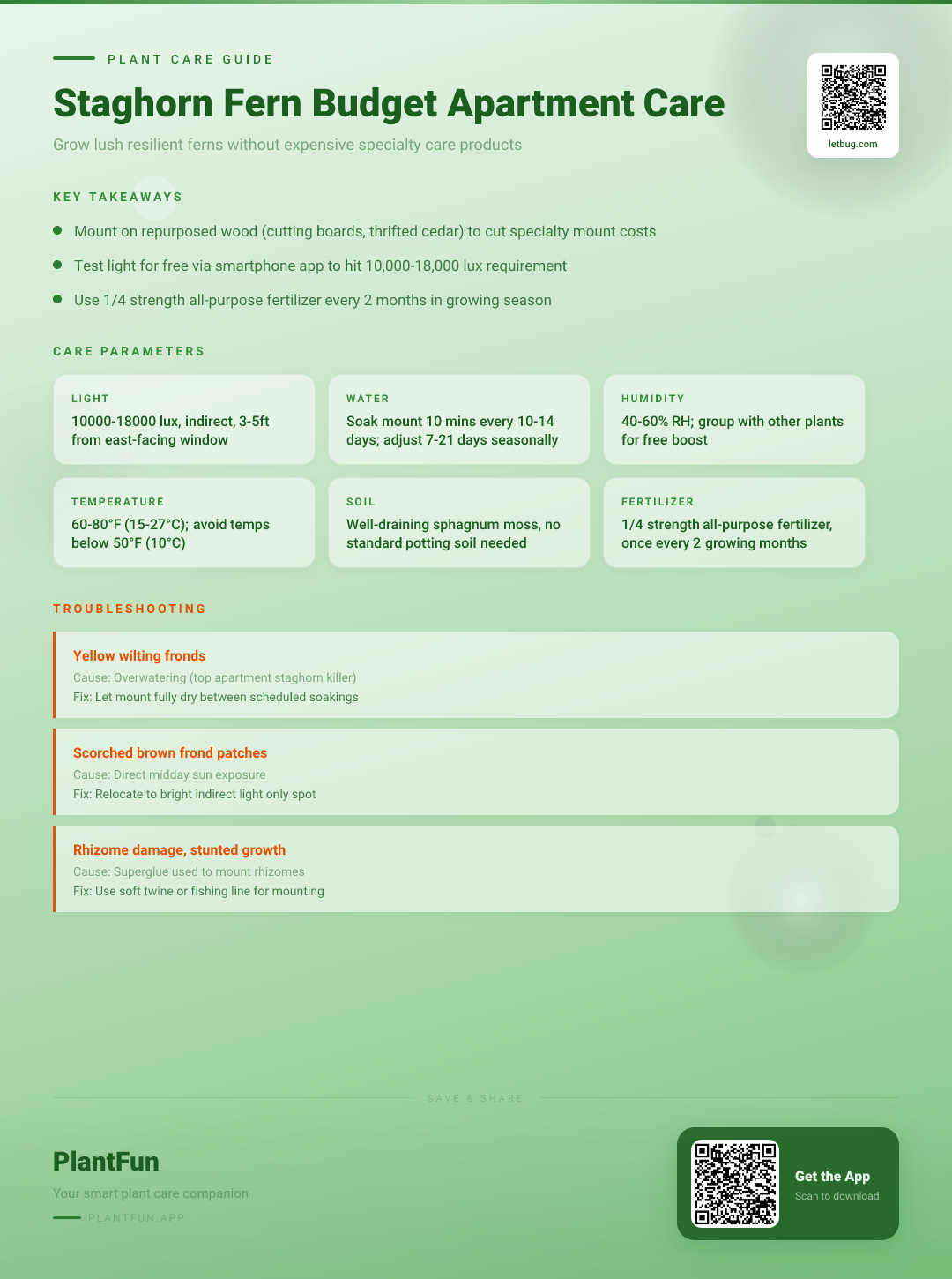 The Complete Budget Staghorn Fern Care Checklist for Resilient Apartment Growth — Care Guide for indoor houseplants