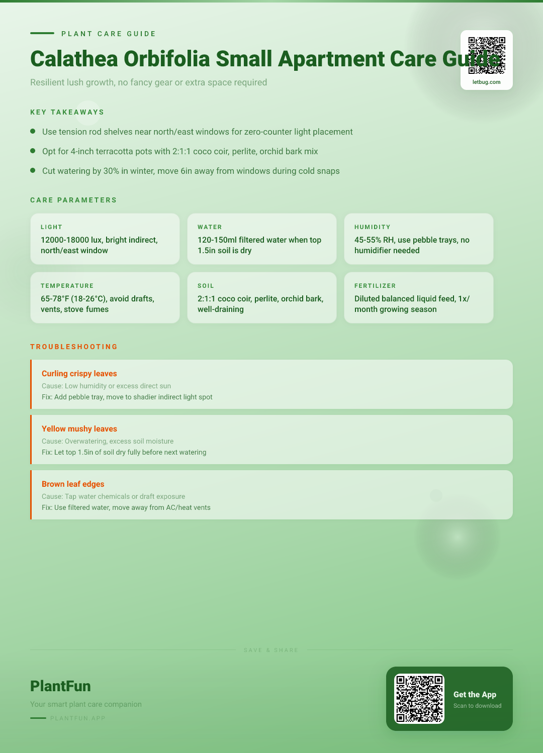 The Complete Calathea Orbifolia Care Checklist for Small Apartments: Resilient Growth No Fancy Gear Needed — Care Guide for indoor houseplants