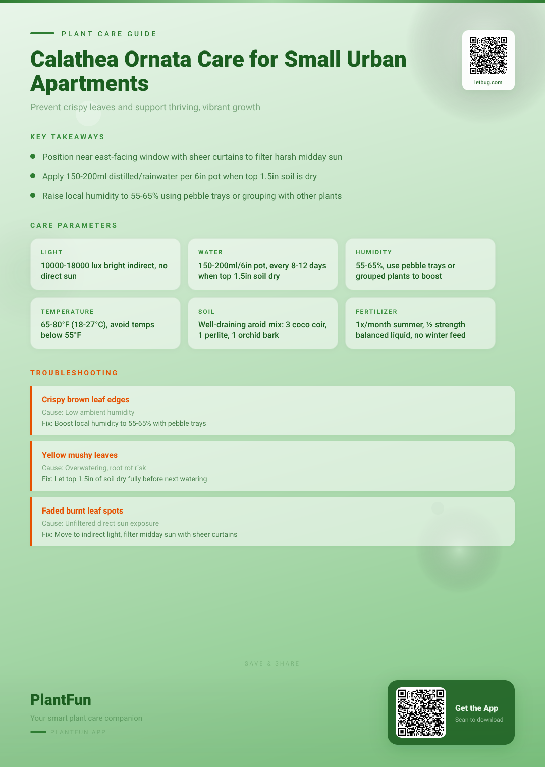 The Complete Calathea Ornata Care Checklist for Thriving Growth in Small Urban Apartments — Care Guide for indoor houseplants