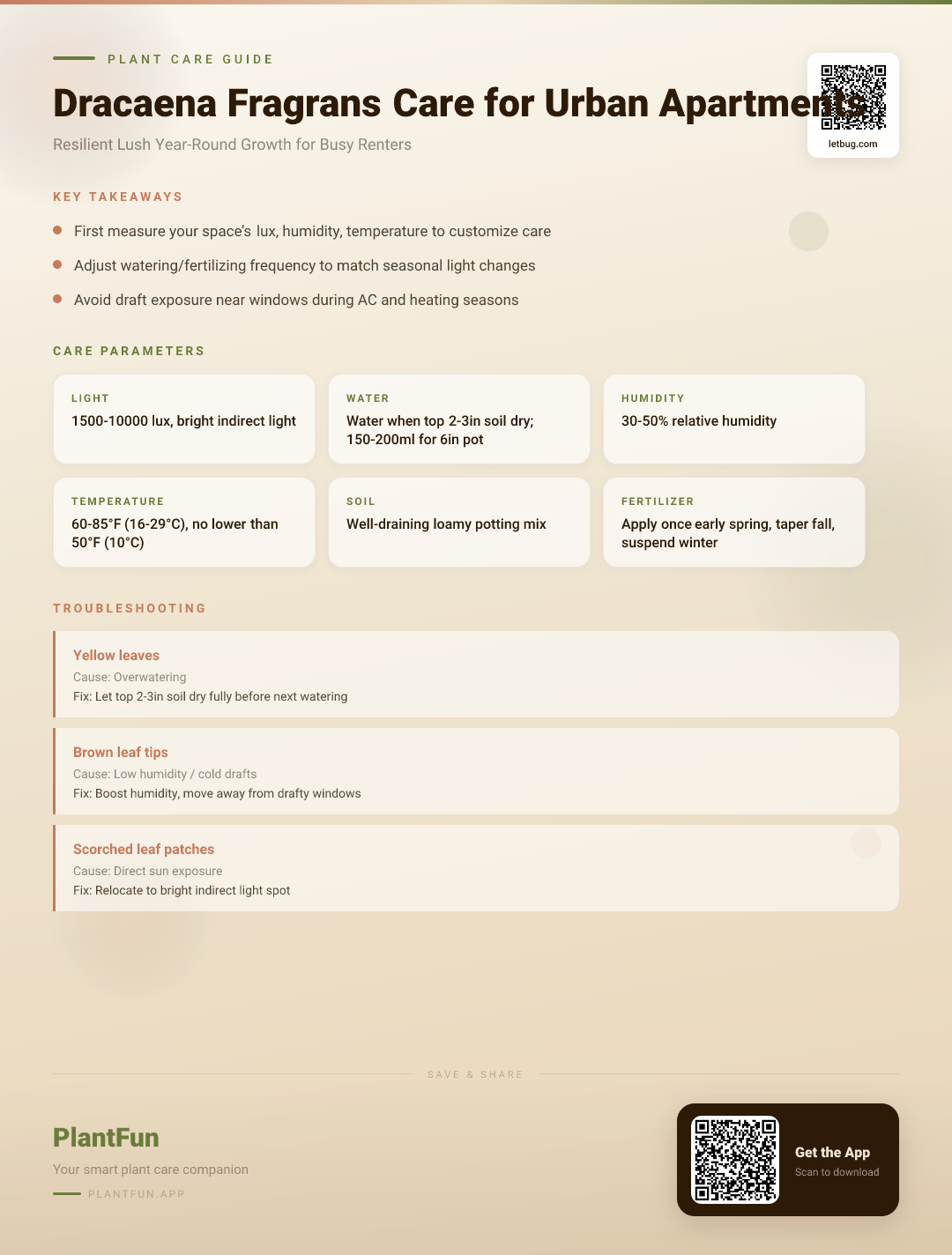 The Complete Dracaena Fragrans Care Checklist for Typical Urban Apartments to Boost Resilient Lush Year-Round Growth — Care Guide for indoor houseplants