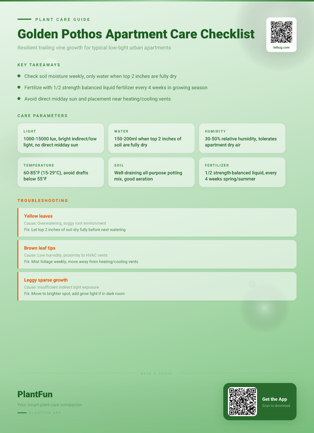 The Complete Golden Pothos Care Checklist for Resilient Growth in Typical Urban Apartments — Care Guide for indoor houseplants