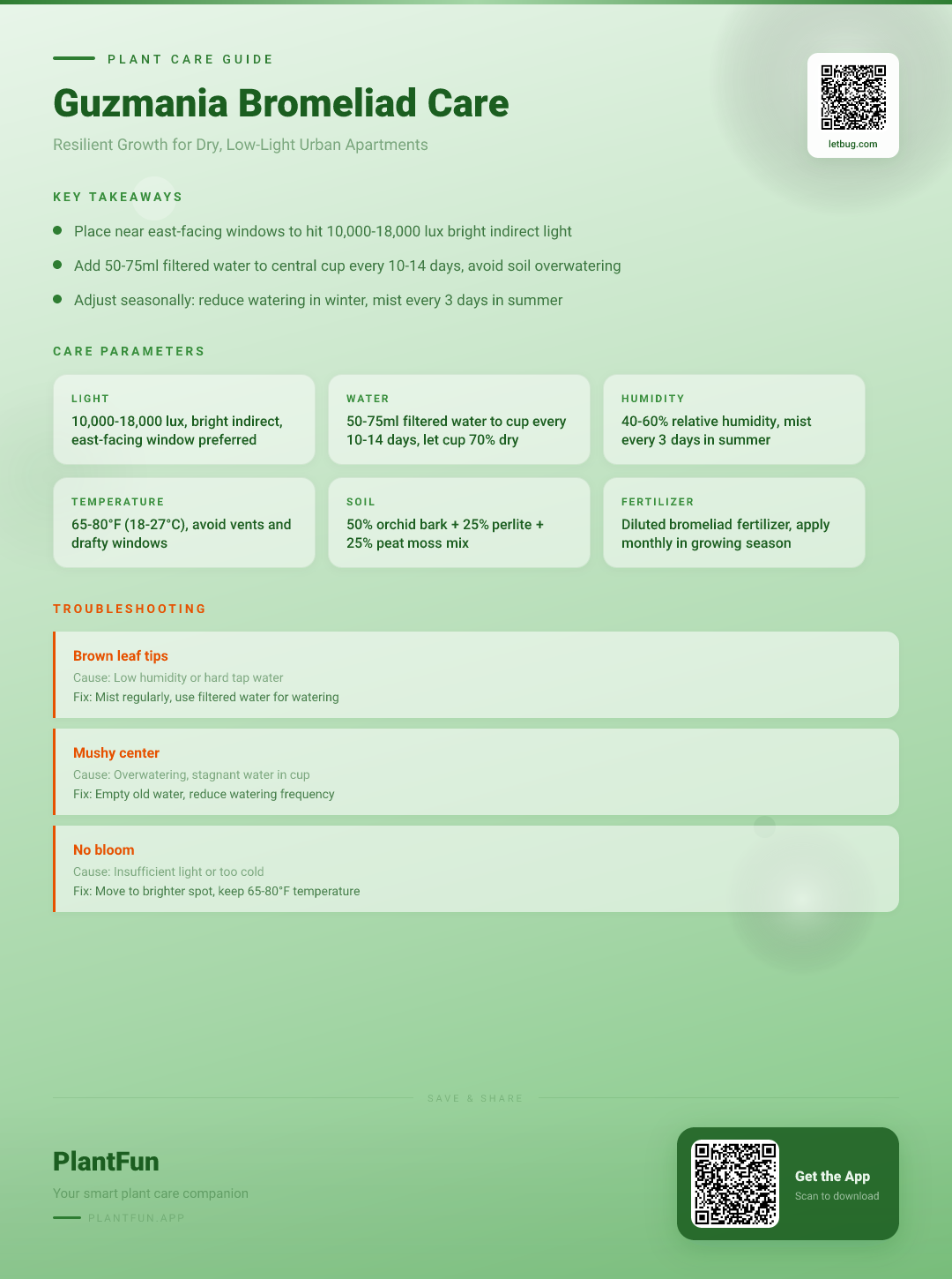 The Complete Guzmania Bromeliad Care Checklist for Resilient Growth in Typical Urban Apartments — Care Guide for indoor houseplants