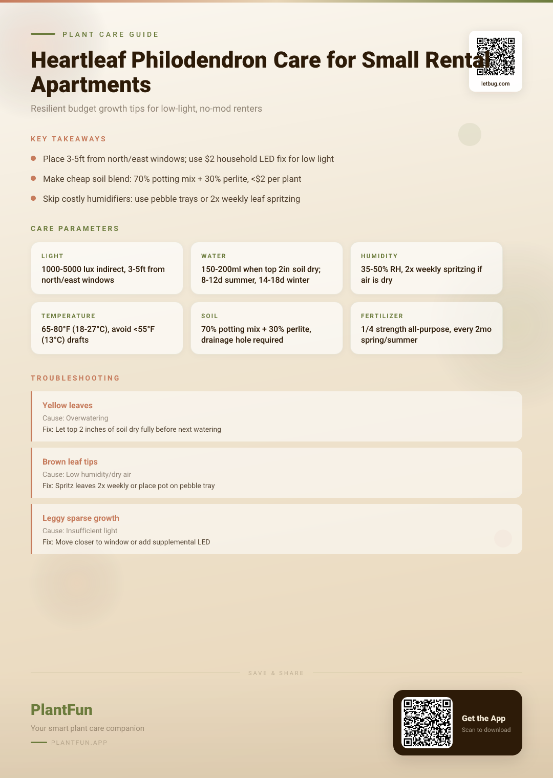 The Complete Heartleaf Philodendron Care Guide for Small Rental Apartments: Resilient Budget Growth Tips — Care Guide for indoor houseplants