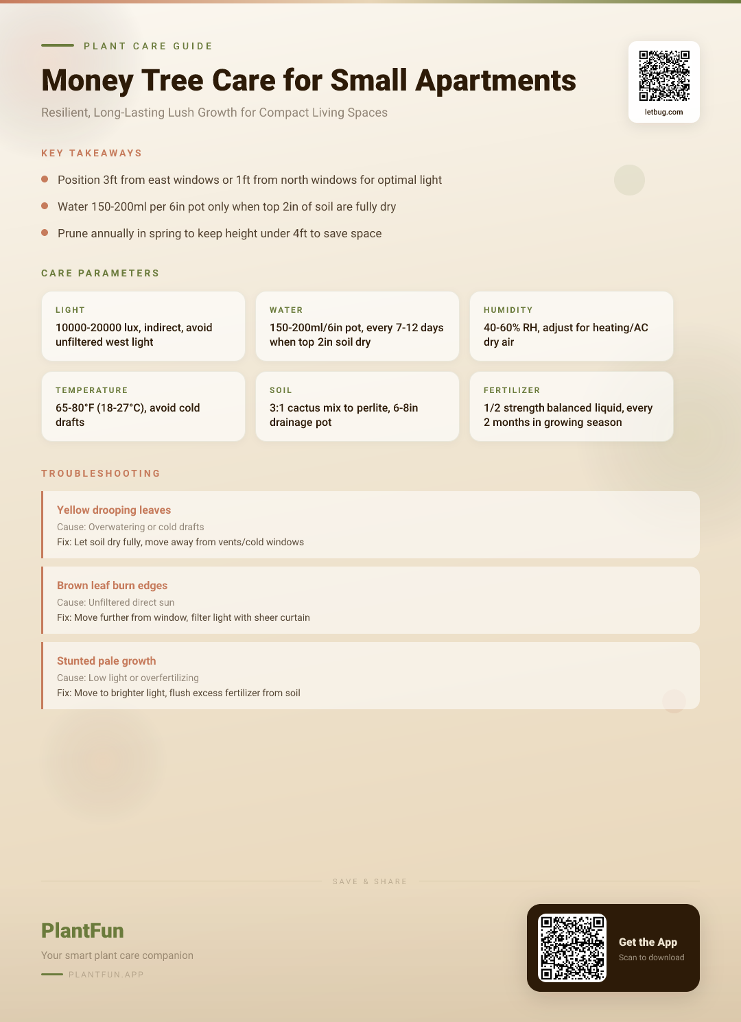 The Complete Money Tree Care Checklist for Small Apartments: Resilient Growth That Lasts — Care Guide for indoor houseplants