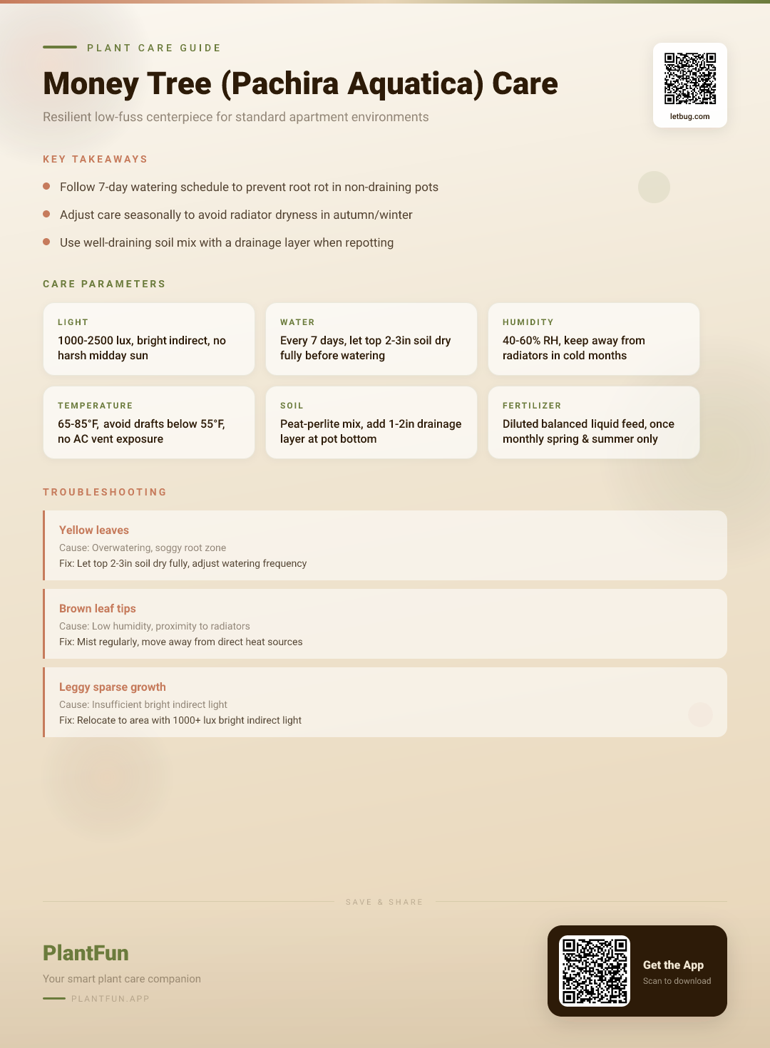 The Complete Money Tree Care Guide for Typical Apartments: Light, Water, Soil & More — Care Guide for indoor houseplants