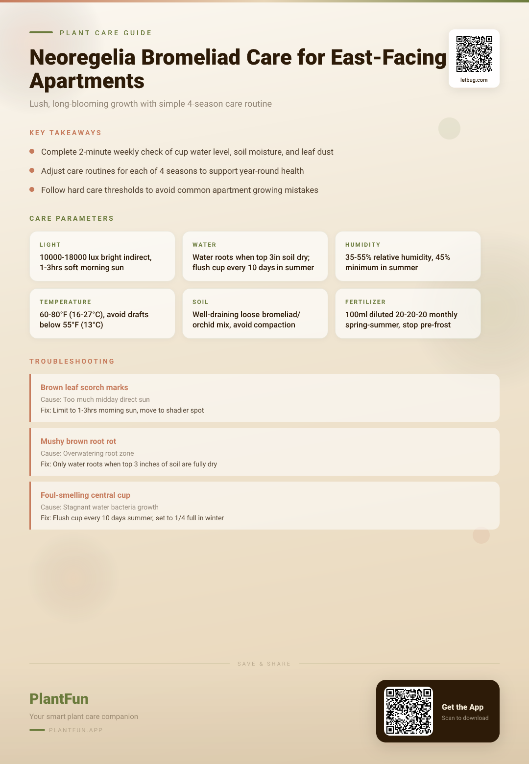 The Complete Neoregelia Bromeliad Care Checklist for Resilient Growth in East-Facing Apartments — Care Guide for indoor houseplants