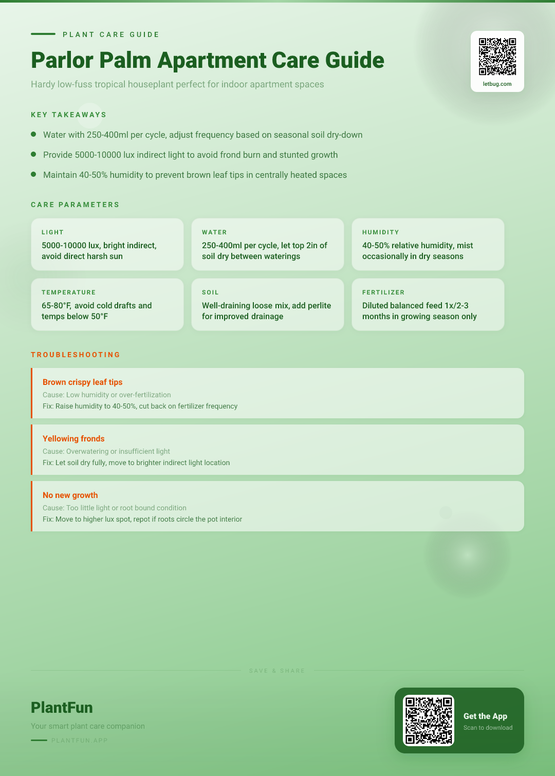 The Complete Parlor Palm Care Guide for Typical Apartments: Light, Water, Soil & More — Care Guide for indoor houseplants