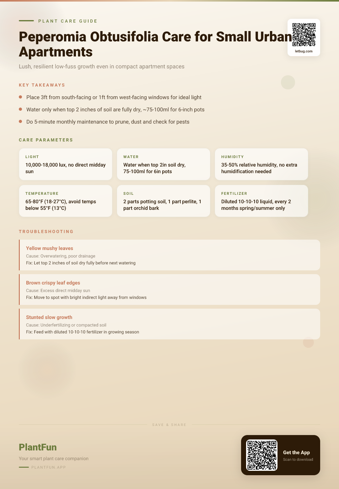 The Complete Peperomia Obtusifolia Care Checklist for Small Urban Apartments for Lush, Resilient Growth — Care Guide for indoor houseplants