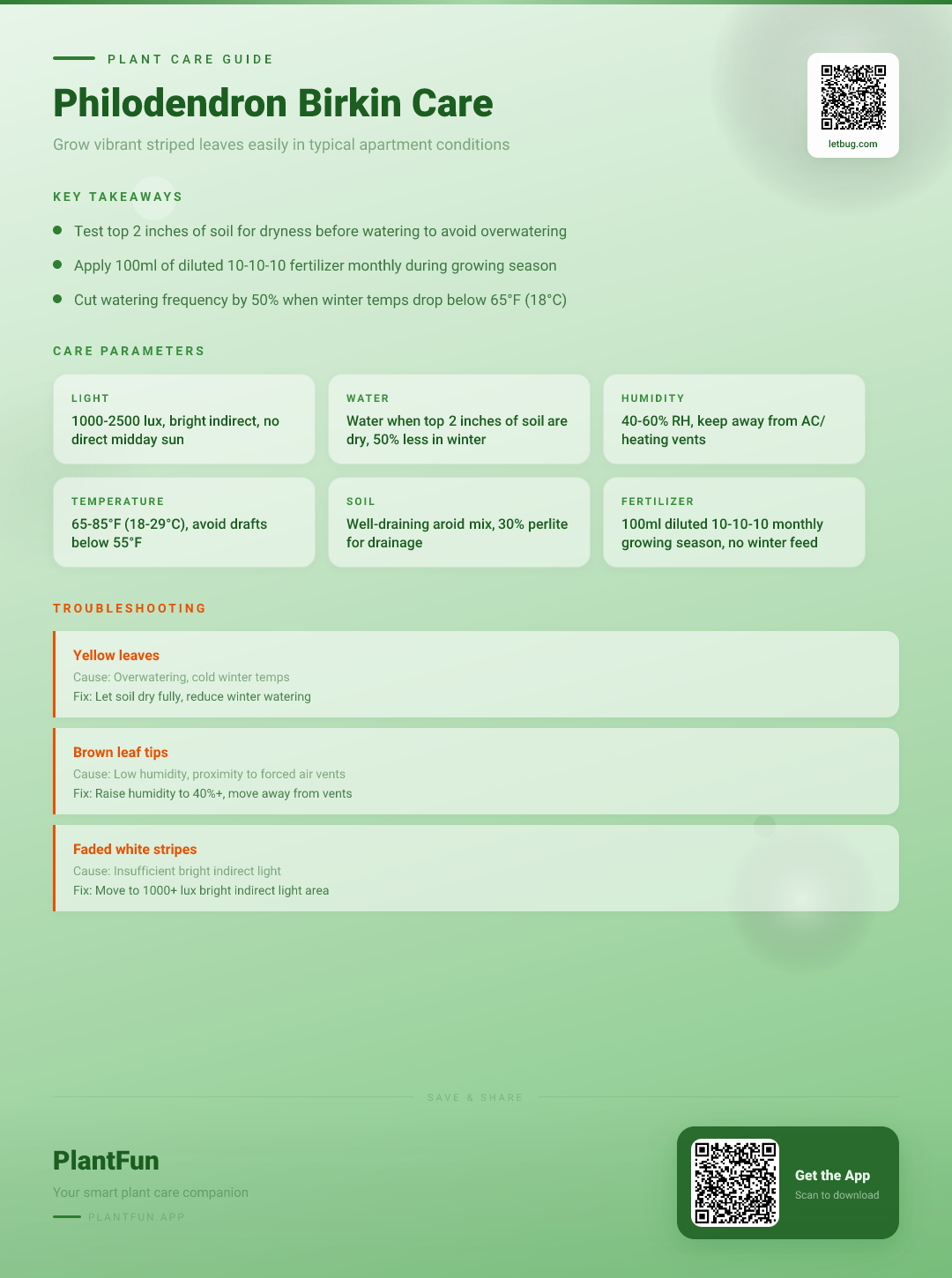 The Complete Philodendron Birkin Care Checklist for Typical Apartments: Grow Resilient Striped Leaves — Care Guide for indoor houseplants