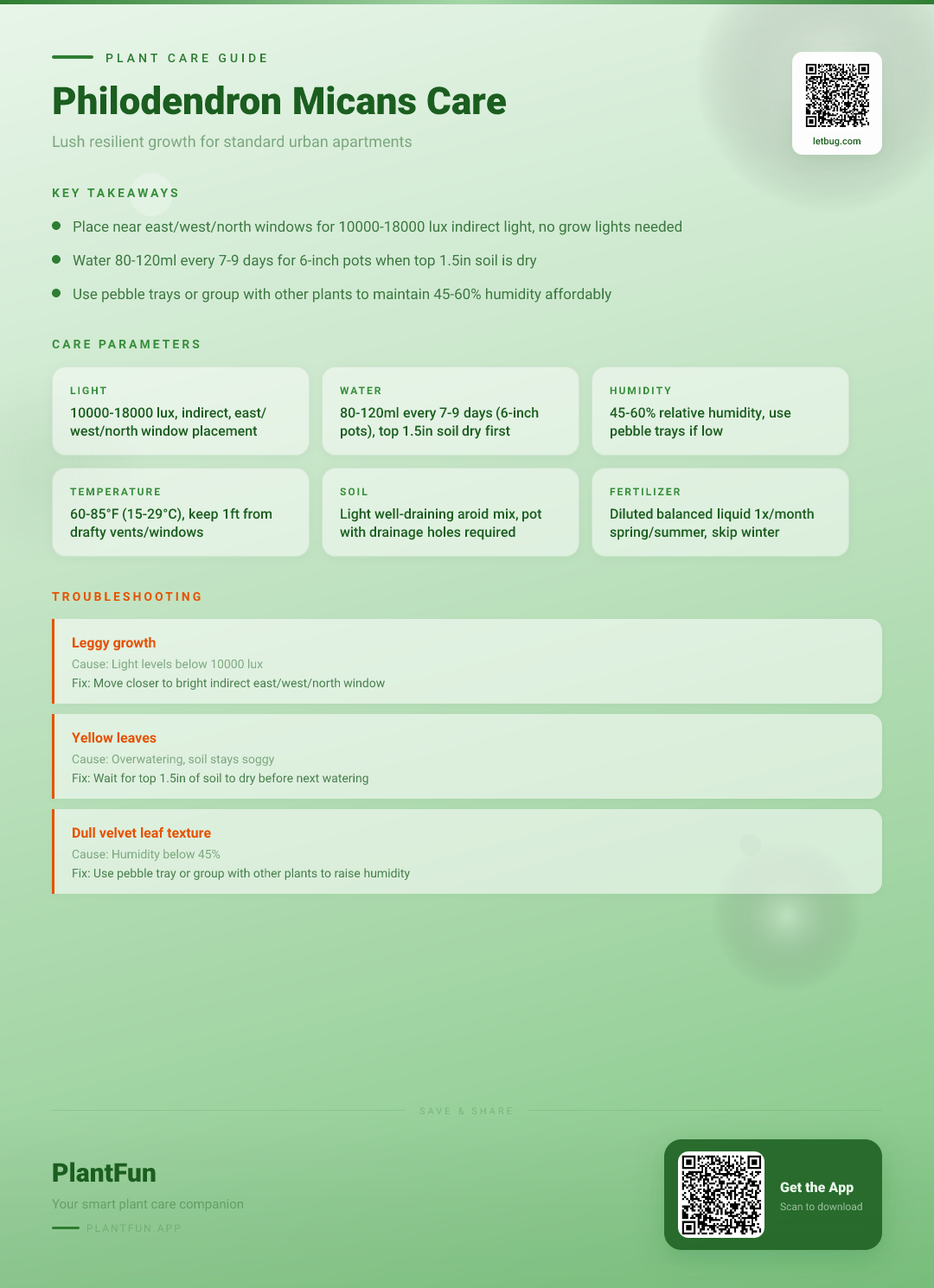 The Complete Philodendron Micans Care Checklist for Lush Resilient Growth in Typical Urban Apartments — Care Guide for indoor houseplants