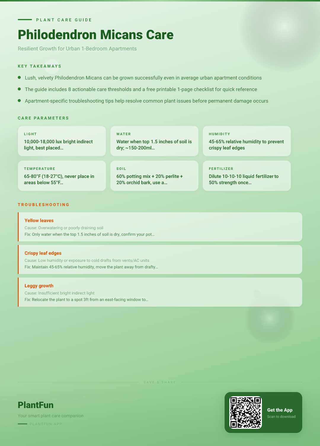 The Complete Philodendron Micans Care Checklist for Resilient Growth in Typical Apartments — Care Guide for indoor houseplants