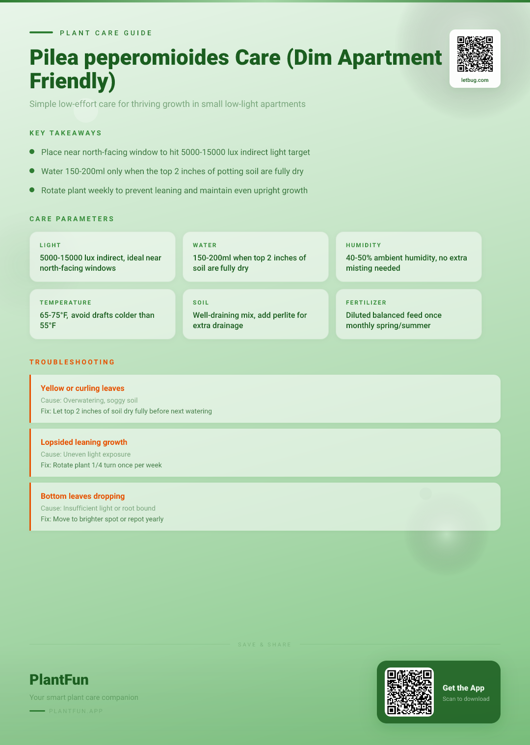 The Complete Pilea peperomioides Care Guide for Dim Apartment Living: Light, Water & Growth — Care Guide for indoor houseplants