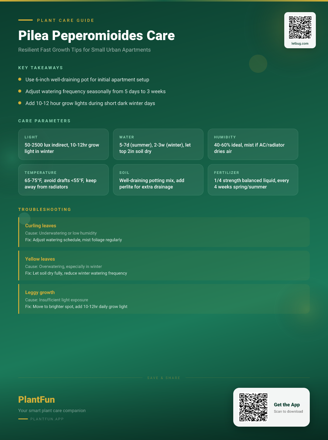 The Complete Pilea Peperomioides Care Guide for Small Urban Apartments: Lush Resilient Growth — Care Guide for indoor houseplants