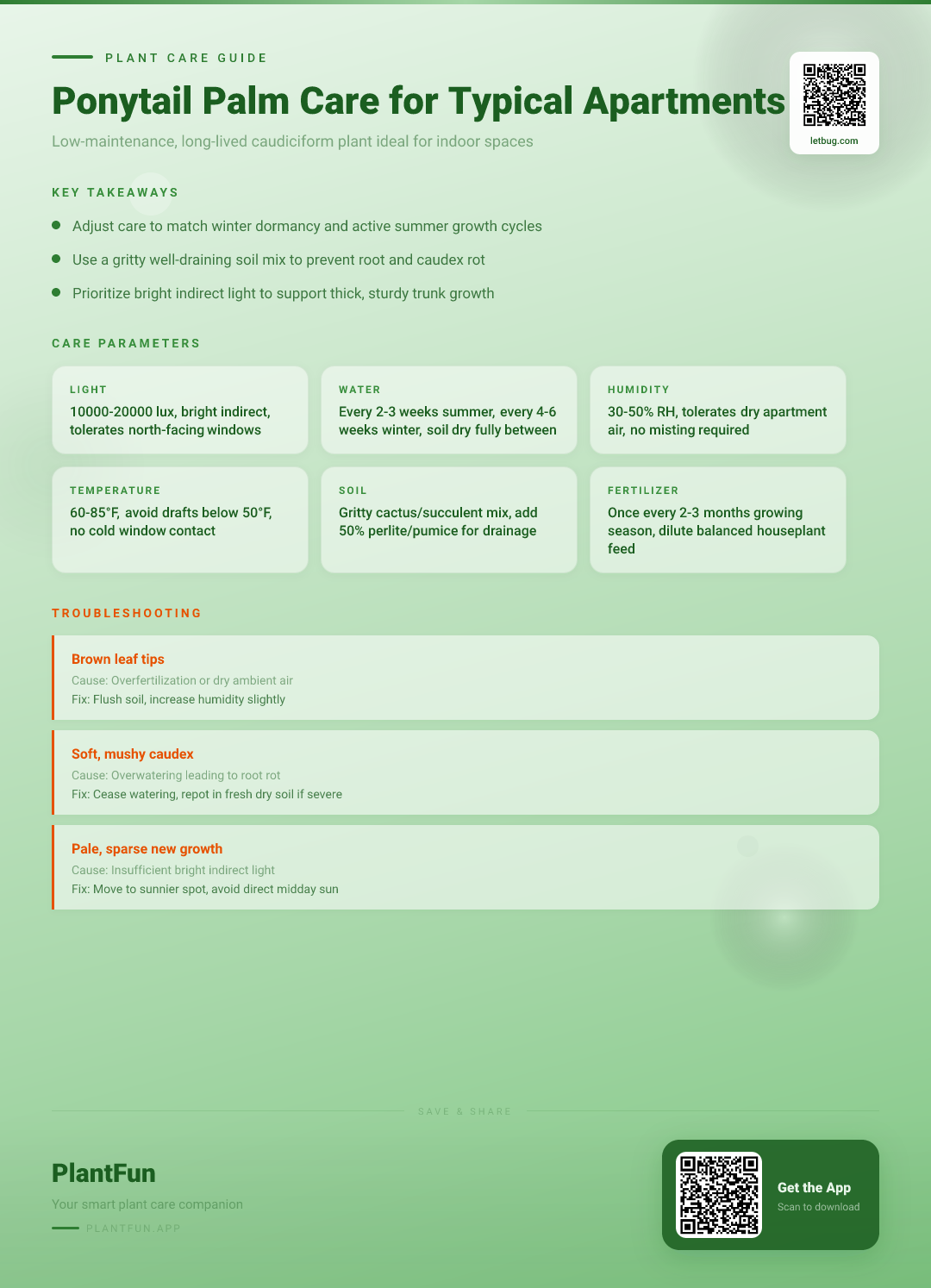 The Complete Ponytail Palm Care Guide for Typical Apartments: Light, Water, Soil & More — Care Guide for indoor houseplants