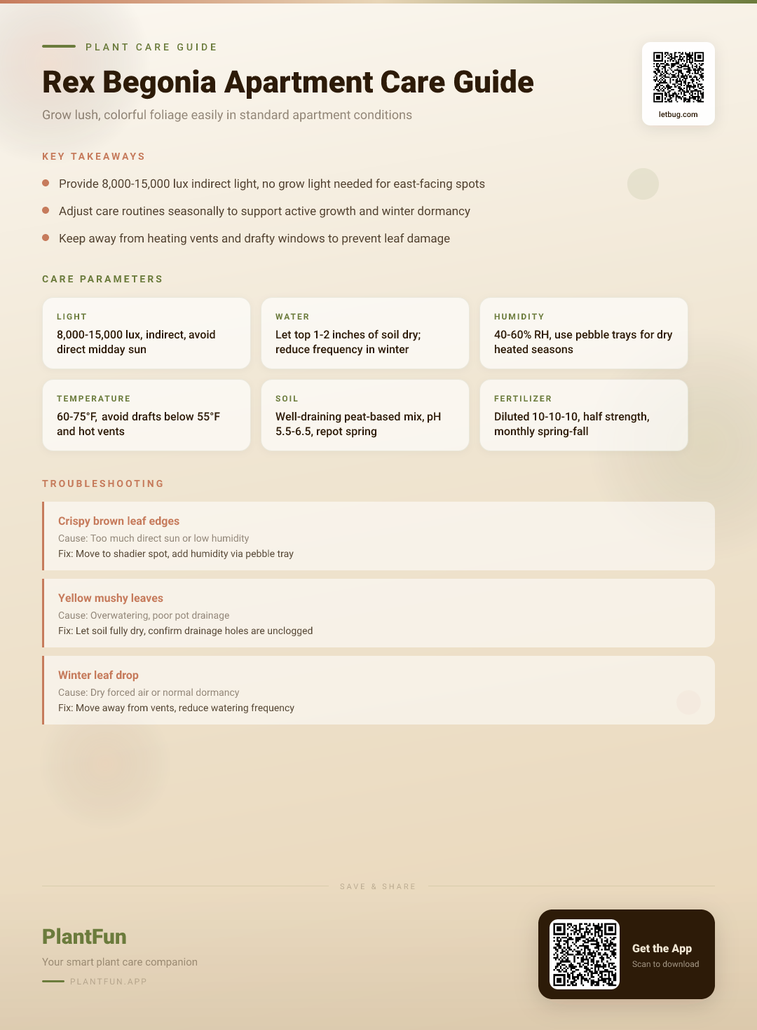 The Complete Rex Begonia Care Checklist for Resilient Growth in Typical Apartments — Care Guide for indoor houseplants