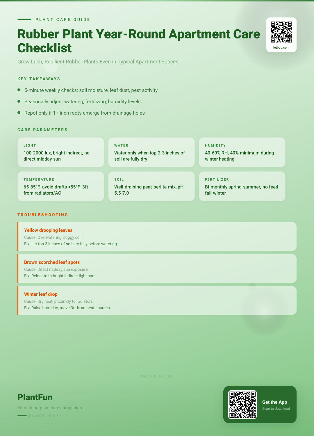 The Complete Rubber Plant Care Checklist for Year-Round Resilient Growth in Typical Apartments — Care Guide for indoor houseplants