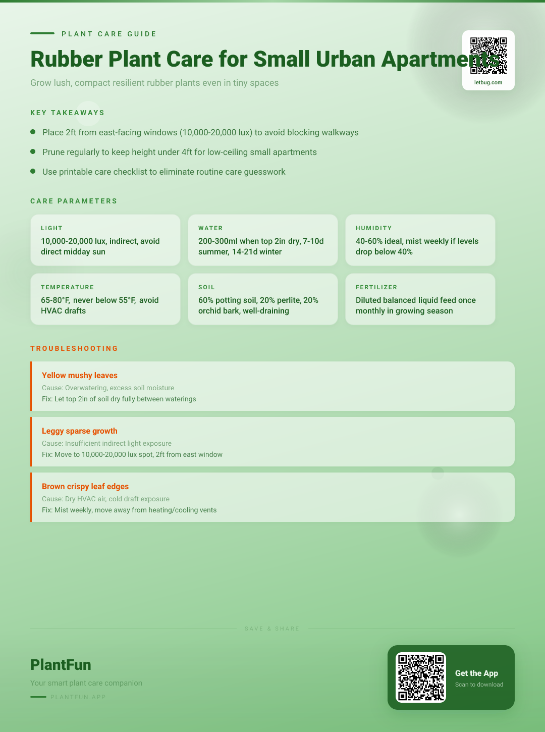 The Complete Rubber Plant Care Guide for Small Urban Apartments: Lush Resilient Growth — Care Guide for indoor houseplants