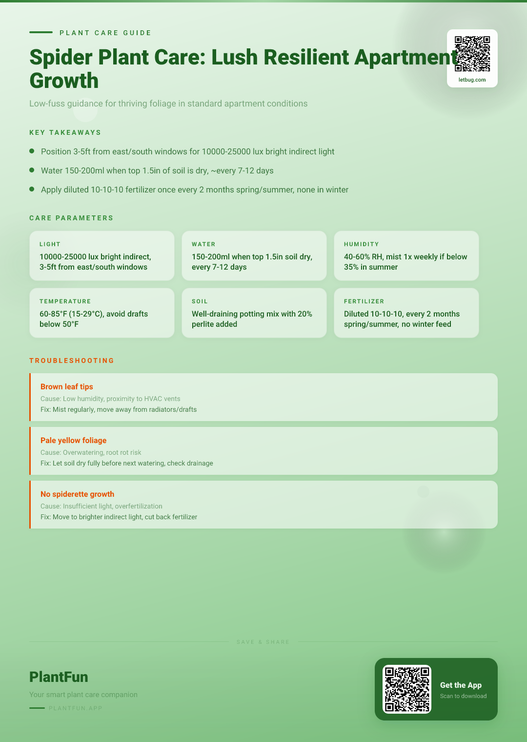 The Complete Spider Plant Care Checklist for Lush Resilient Growth in Typical Apartments — Care Guide for indoor houseplants