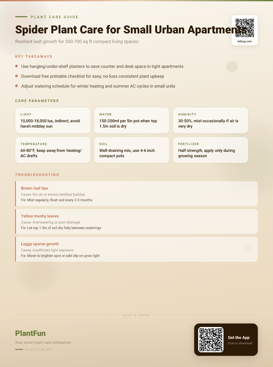 The Complete Spider Plant Care Checklist for Small Urban Apartments: Resilient Lush Growth Tips — Care Guide for indoor houseplants