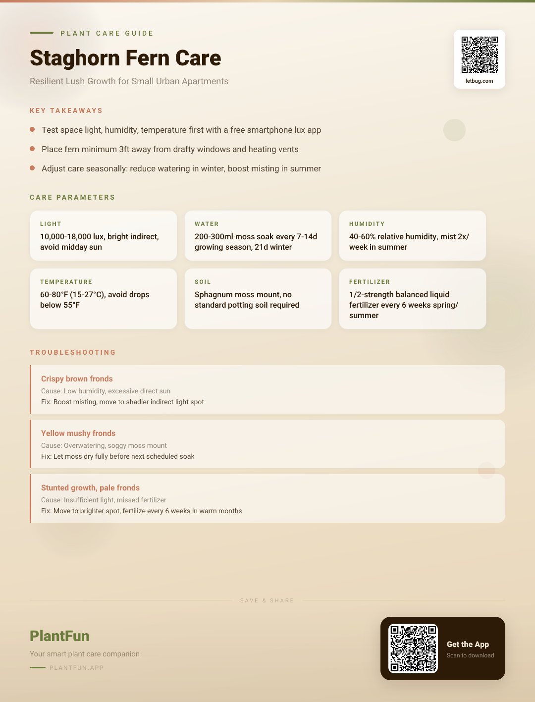 The Complete Staghorn Fern Care Checklist for Resilient Growth in Typical Small Apartments — Care Guide for indoor houseplants