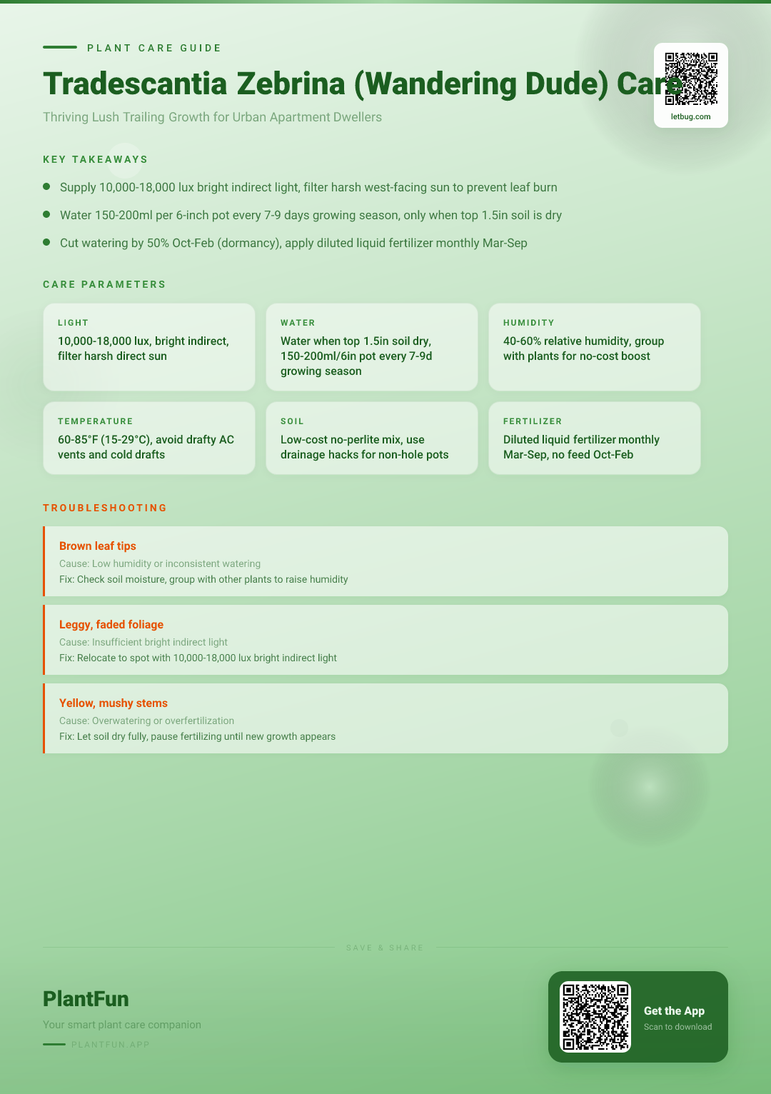 The Complete Tradescantia Zebrina Care Checklist for Thriving Growth in Typical Urban Apartments — Care Guide for indoor houseplants