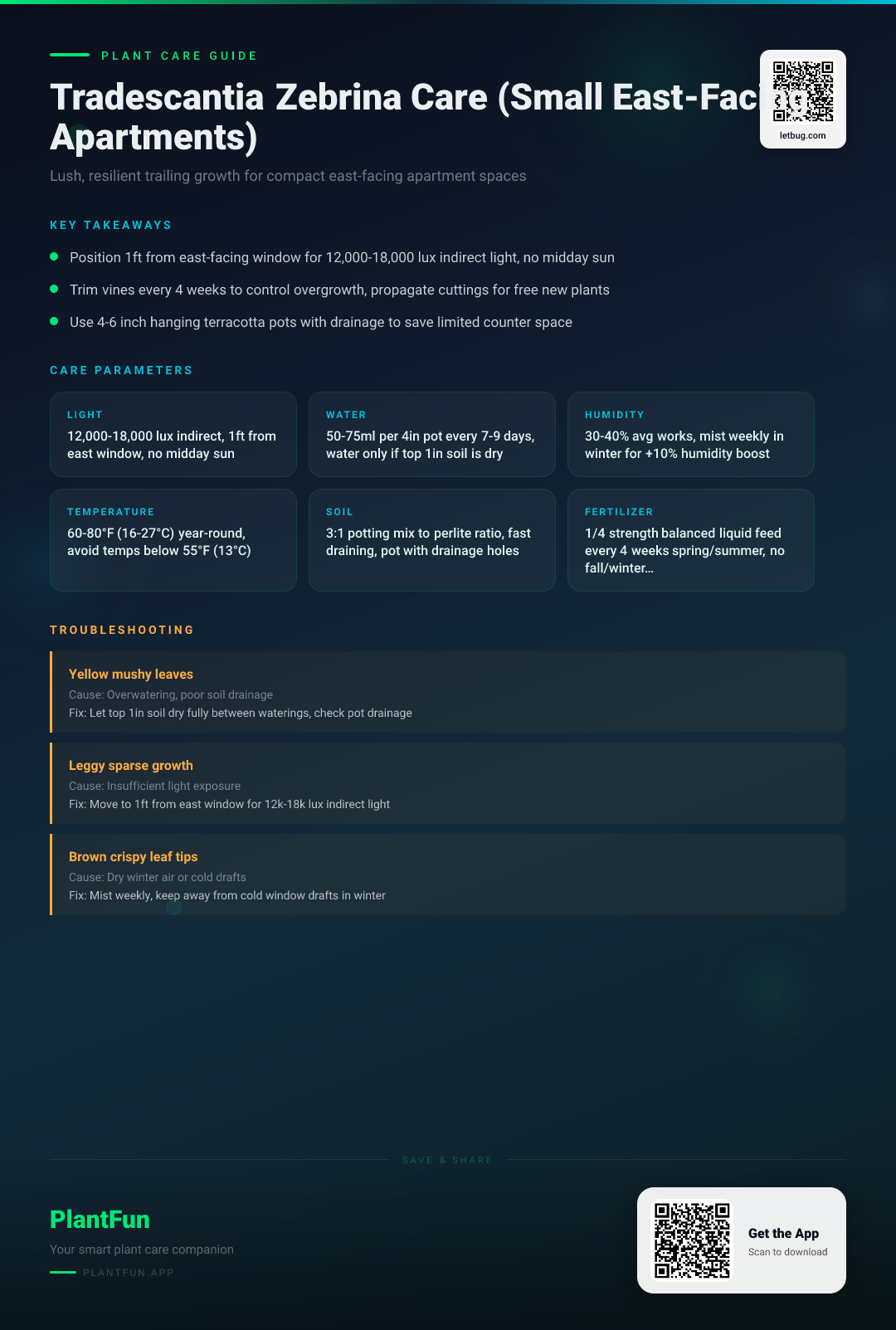 The Complete Tradescantia Zebrina Care Guide for Small East-Facing Apartments: 6 Tips for Lush Resilient Growth — Care Guide for indoor houseplants