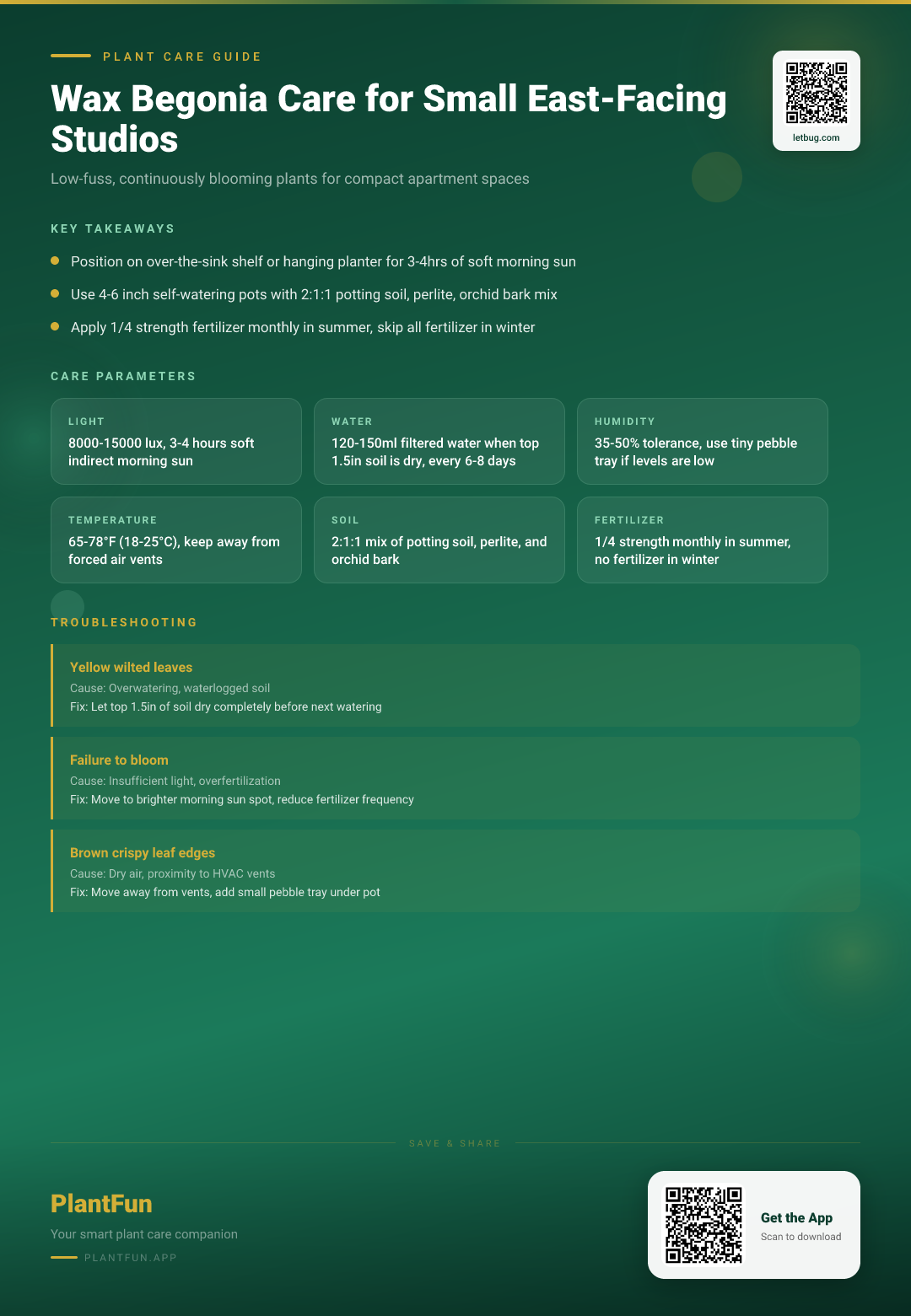 The Complete Wax Begonia Care Checklist for Resilient Growth in Small East-Facing Studio Apartments — Care Guide for indoor houseplants