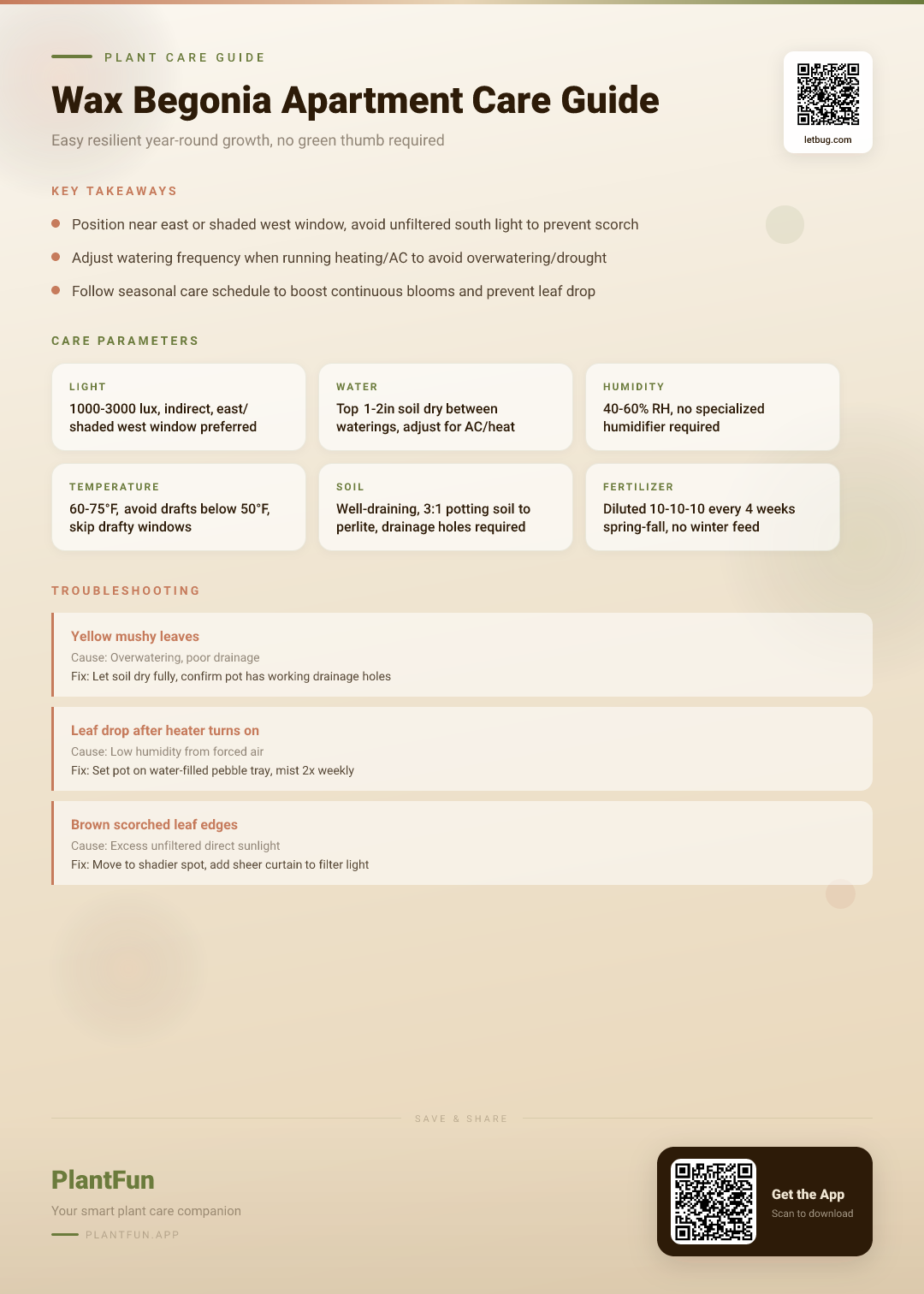 The Complete Wax Begonia Care Guide for Typical Apartments: Easy Resilient Growth Year-Round — Care Guide for indoor houseplants