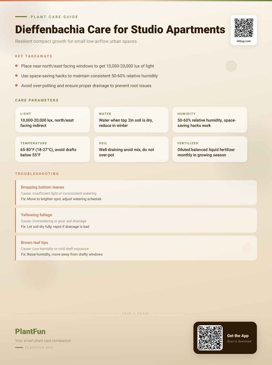 Dieffenbachia Care for Studio Apartments: The Complete Guide to Resilient Indoor Growth — Care Guide for indoor houseplants