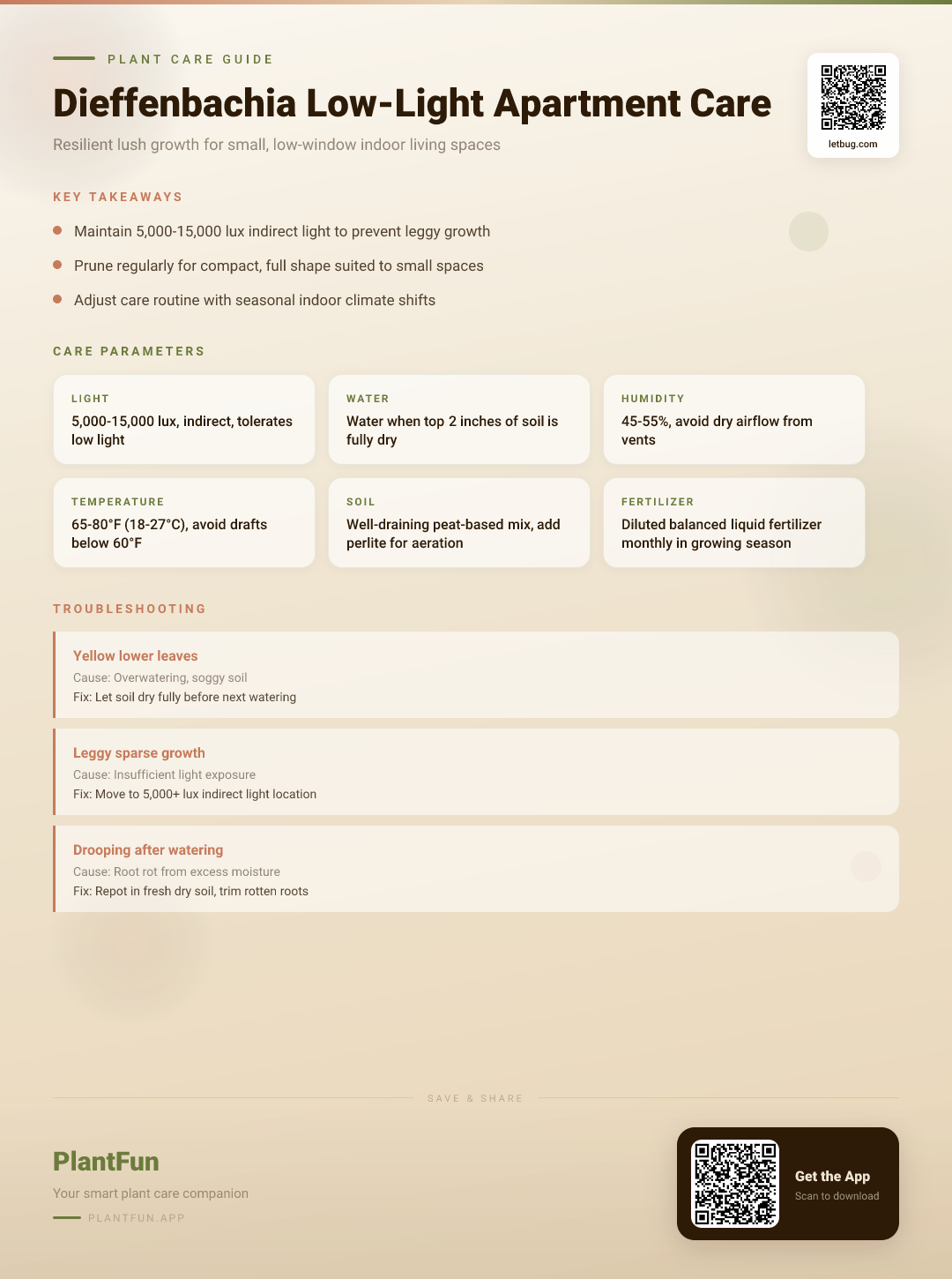 Dieffenbachia in a Low-Light Apartment: The Complete Care Guide for Resilient, Lush Growth — Care Guide for indoor houseplants