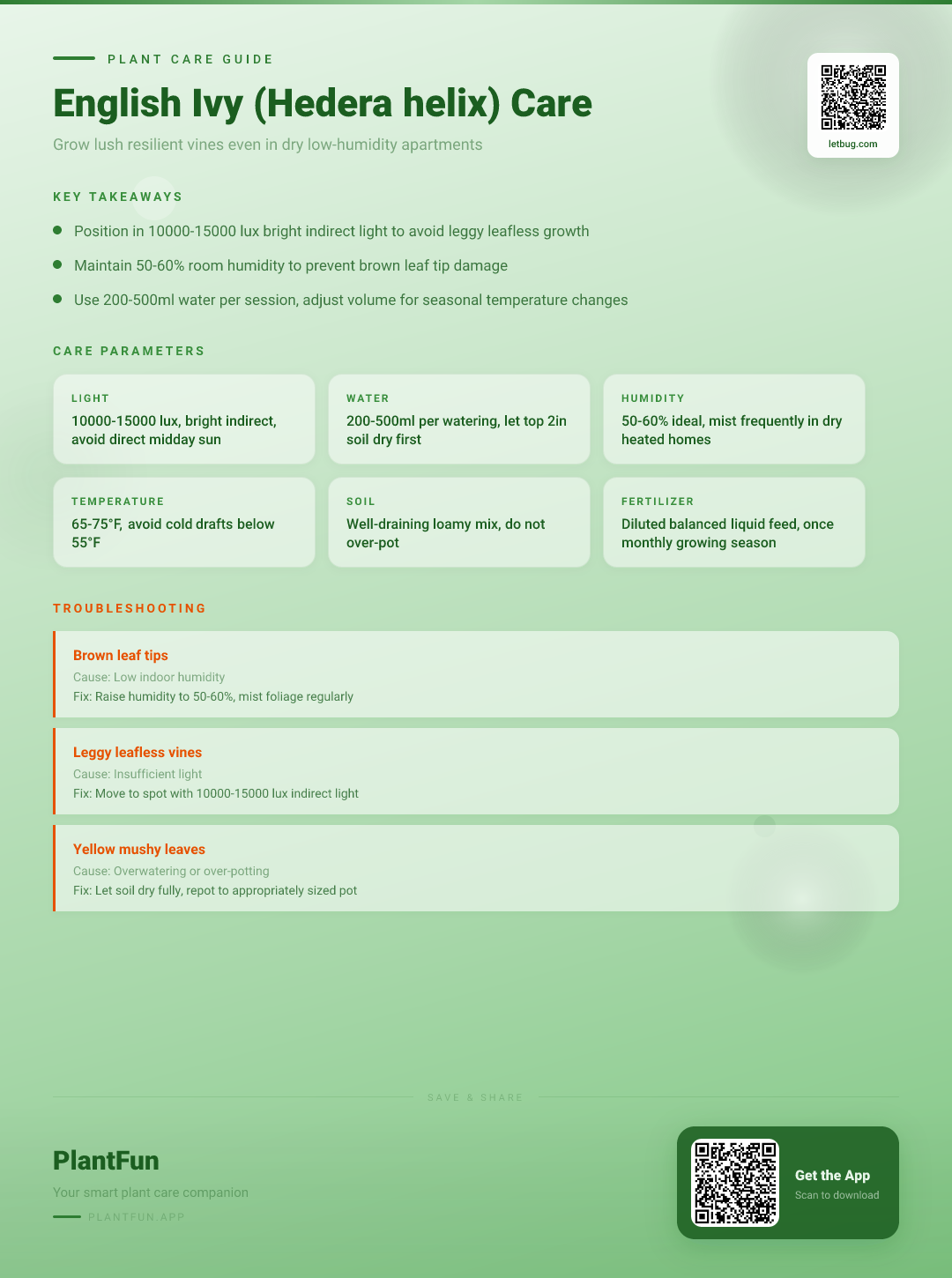 English Ivy in Low-Humidity Apartments: The Complete Rescue and Resilience Care Guide — Care Guide for indoor houseplants